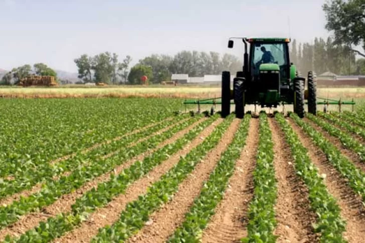 Lanzaron un crédito para tareas de cosecha e industrialización de productos agrícolas