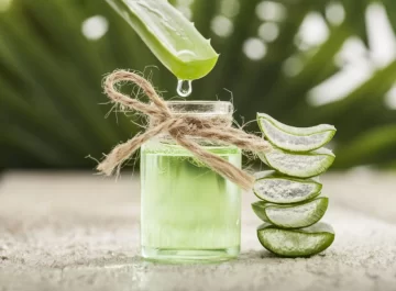 Los maravillosos usos del aloe vera