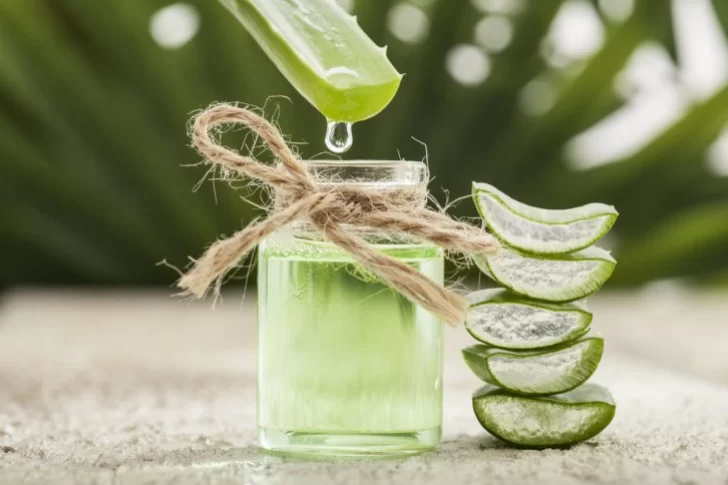 Los maravillosos usos del aloe vera