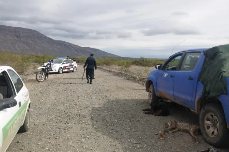 En plena cuarentena, cinco cazadores caen con 3 maras y 4 guanacos faenados