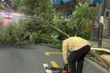 Un camionero muerto y daños materiales por fuerte temporal en Córdoba