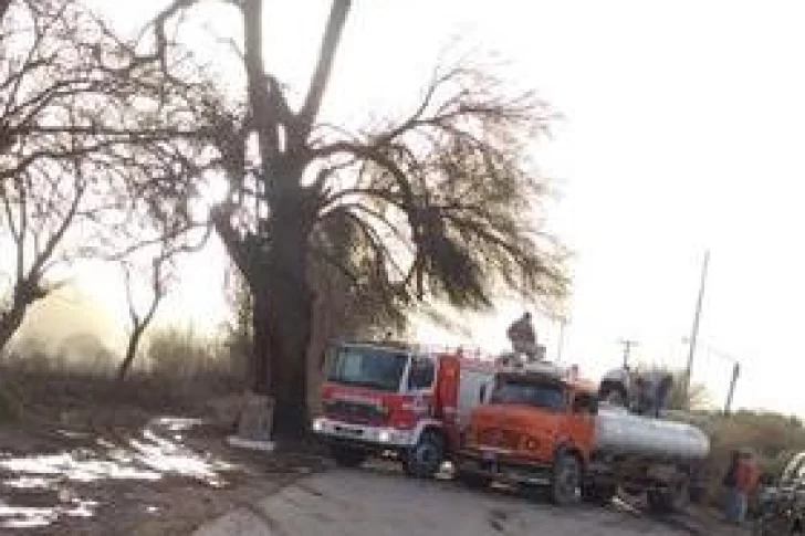 Un incendio hizo arder el “Árbol Histórico” de Huaco, que sufrió importantes daños