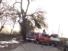 Un incendio hizo arder el “Árbol Histórico” de Huaco, que sufrió importantes daños