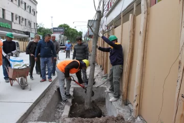 Dara defendió la compra de árboles para la peatonal y cuestionó al concejal Sansó