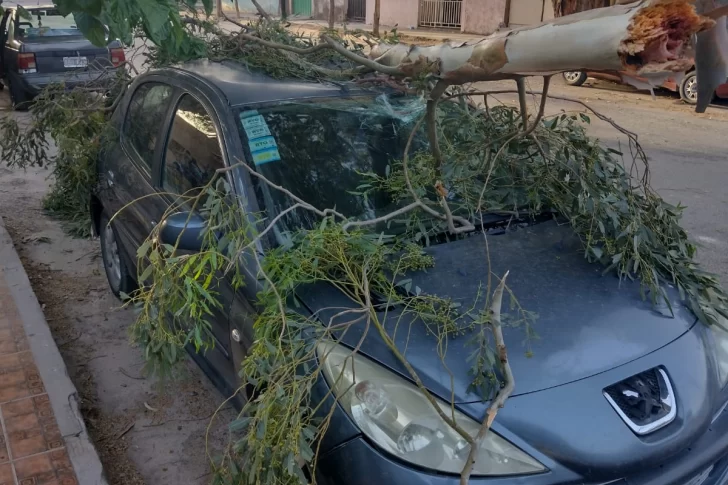 Sin motivo, un grupo de jóvenes que caminaba por la calle destrozó los vidrios de un auto