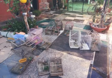 Luego del allanamiento a una vivienda lograron rescatar 17 aves