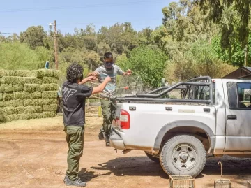 Llegaron al Faunístico 15 aves rescatadas por Ambiente para ser tratadas antes de su liberación