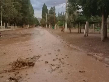 Calingasta: la lluvia provocó crecidas, daños y tiró 2 pinos que cortaron los cables de luz