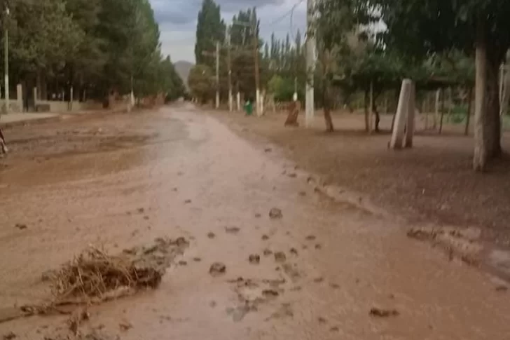 Calingasta: la lluvia provocó crecidas, daños y tiró 2 pinos que cortaron los cables de luz