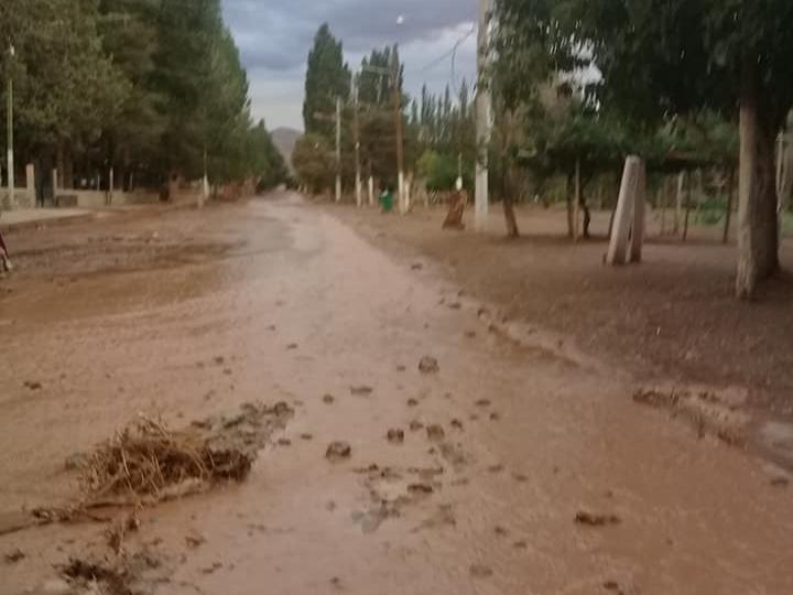 Calingasta: la lluvia provocó crecidas, daños y tiró 2 pinos que cortaron los cables de luz