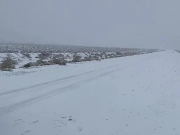 Por la nieve, la ruta que une Barreal con Uspallata está intransitable