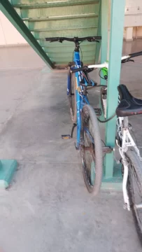 Tres jóvenes se llevaron las bicicletas en las que 2 hermanos iban a la escuela: “No las compren”