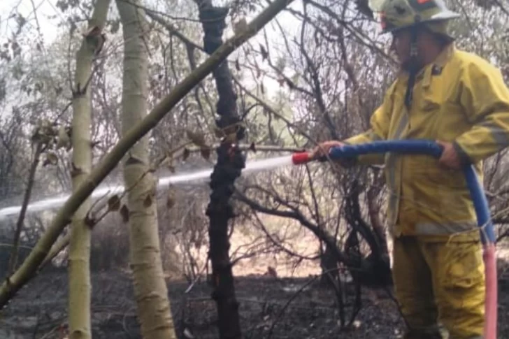 Ante la ola de calor, piden tomar precauciones para evitar incendios