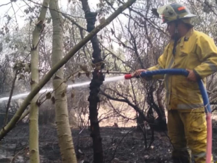 Ante la ola de calor, piden tomar precauciones para evitar incendios