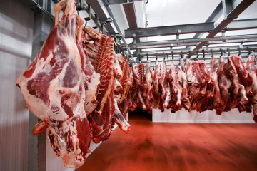 Lanzan créditos por $10.000 millones para incentivar la producción de carne