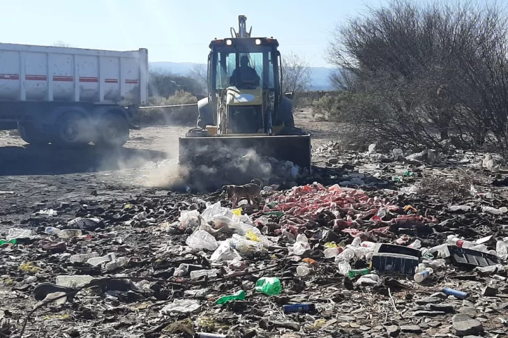 Hallan un vertedero clandestino de carne y huesos que eran transformados en harina