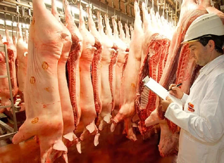 Las exportaciones de carne porcina cayeron 81,9% en el primer semestre del año