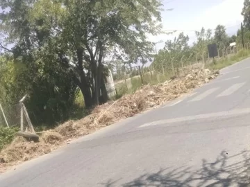 Reclaman por acumulación de basura en calles Benavídez y Balcarce