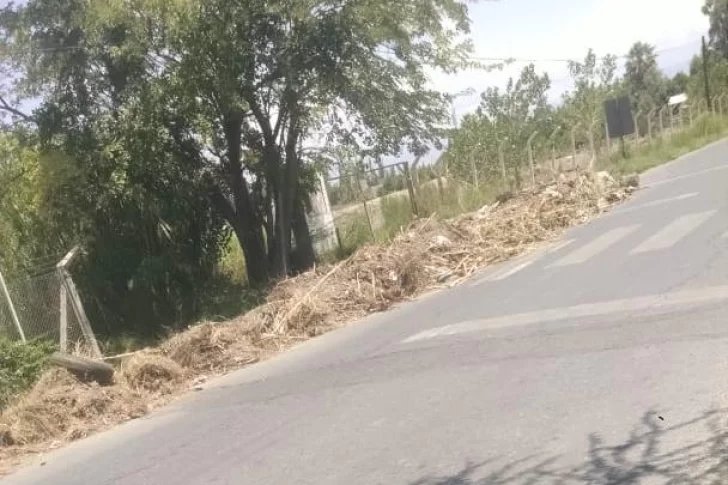 Reclaman por acumulación de basura en calles Benavídez y Balcarce