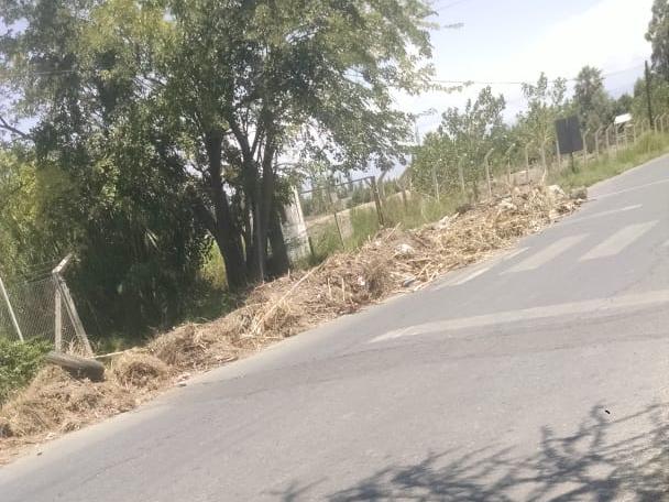 Reclaman por acumulación de basura en calles Benavídez y Balcarce