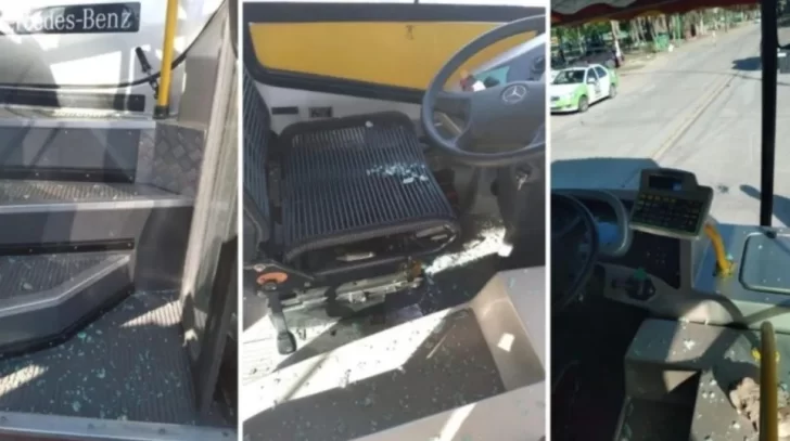 Chofer atropelló y mató a un perrito y sus dueños le destrozaron el colectivo