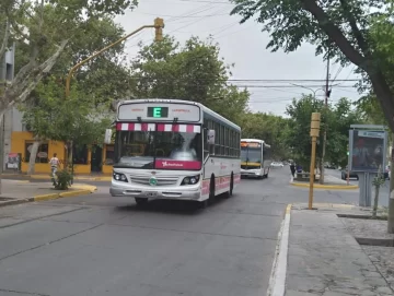 Entre dudas, caminatas y fluido movimiento de micros, la gente ya usa la Red Tulum