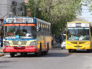 Colectivos, taxis y remises: definieron la forma en que funcionarán en la vuelta a Fase I