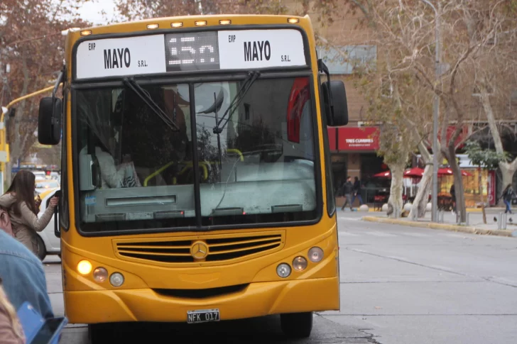 Asaltaron y golpearon con un arma de fuego en la cabeza a un colectivero