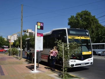 Es oficial: se levantó el paro de colectivos