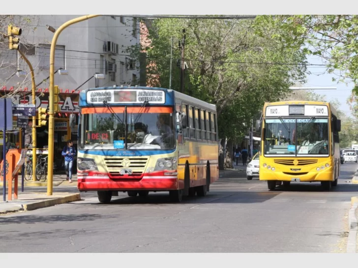 Colocarán botones antipánico en micros y habrá una app para conocer los recorridos