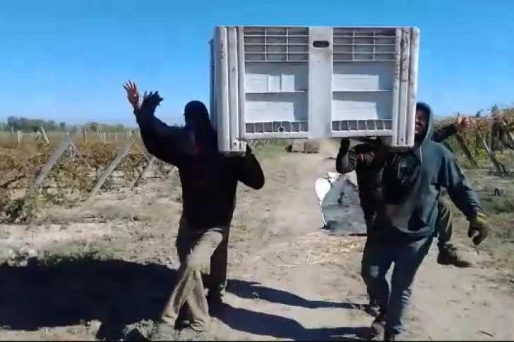 VIDEO: cosechadores sanjuaninos parodiaron el “baile del ataúd”