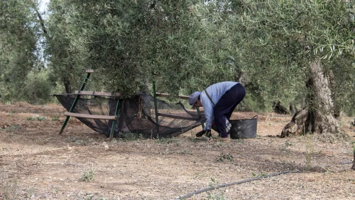 Trabajo esclavo: hay dos detenidos por el caso de la salteña “secuestrada”