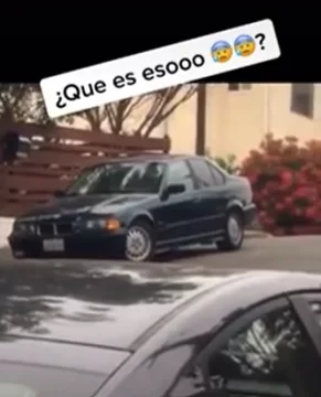 El video viral de una criatura extraña que tiene a todos espantados