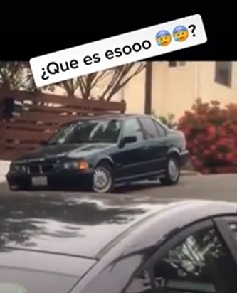 El video viral de una criatura extraña que tiene a todos espantados