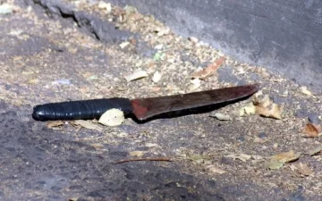 Dos menores amenazaron a un chico con un cuchillo y lo hirieron para robarle el celular