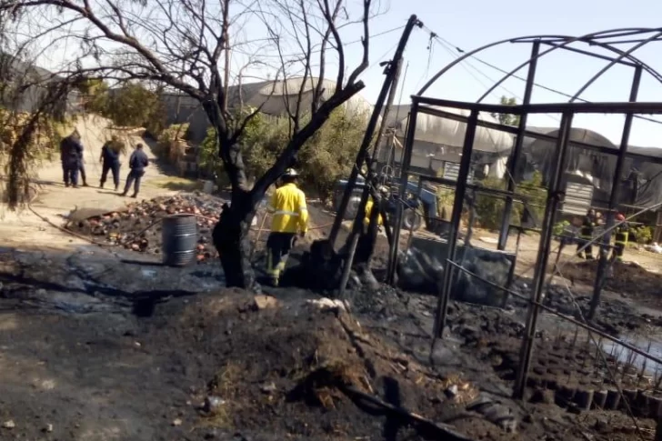 Un incendio de grandes proporciones causó estragos en un reconocido vivero