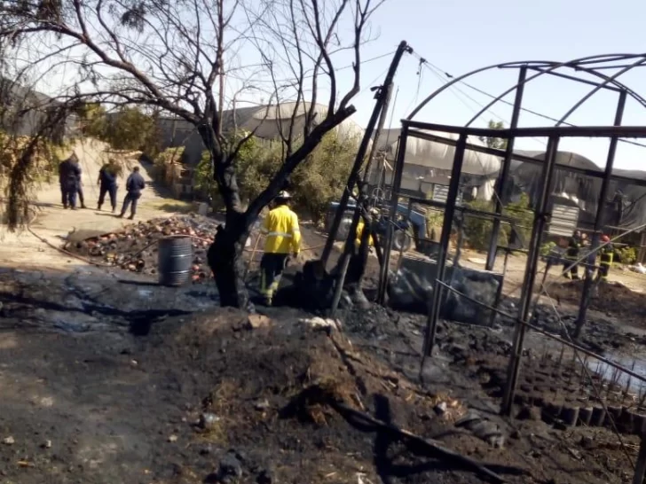 Un incendio de grandes proporciones causó estragos en un reconocido vivero