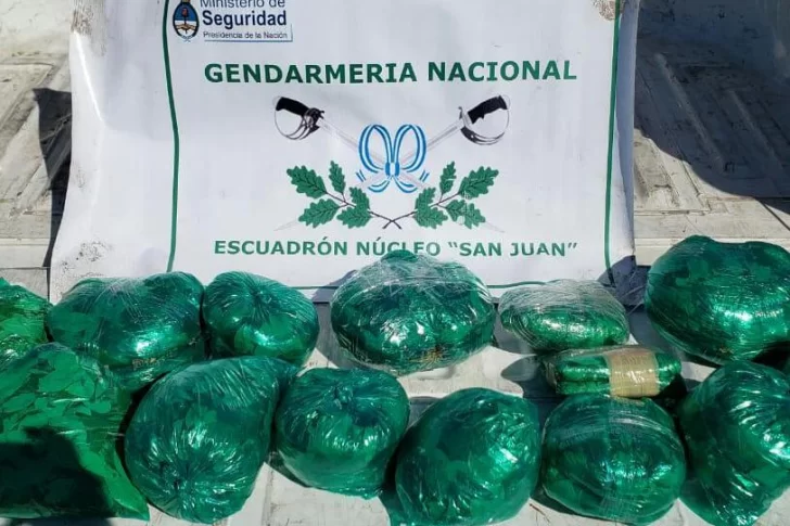 Iban de Salta a Mendoza con mercadería ilegal y hojas de coca: cayeron en San Juan