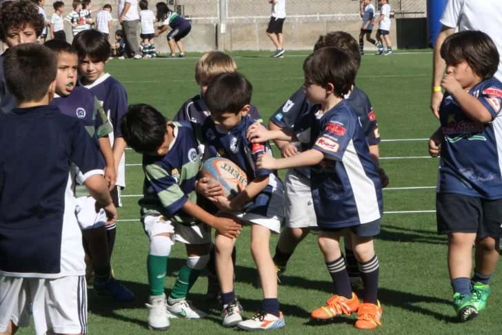 Los Pumas, el gran motivo para que jueguen más de 2.000 chicos