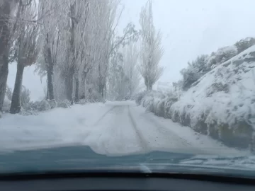 Regantes quieren bajar a la mitad este mes los días de corte de agua