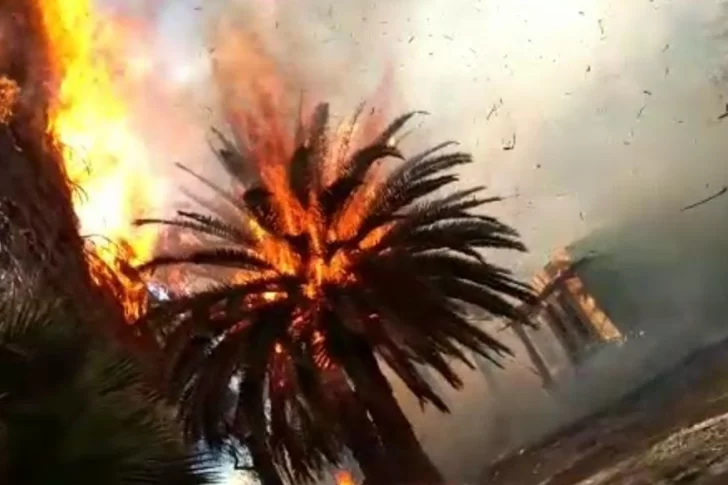 Al menos 20 focos de incendios, el saldo que dejó el viento Zonda