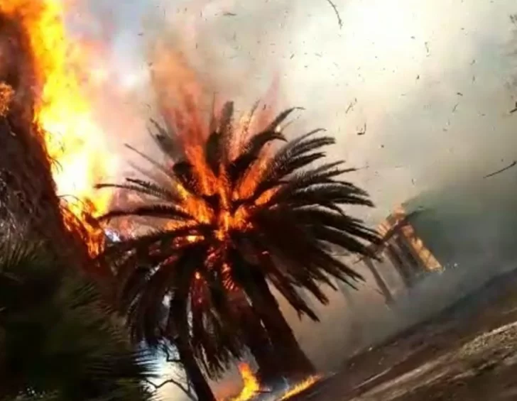 Al menos 20 focos de incendios, el saldo que dejó el viento Zonda