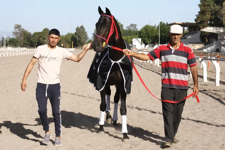 Un caballo que pinta para crack