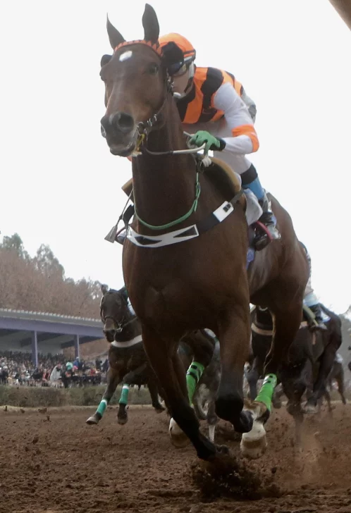 Gran expectativa a tres días de la carrera