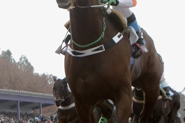 Gran expectativa a tres días de la carrera