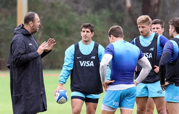 Los Pumas tendrían, al menos, seis variantes