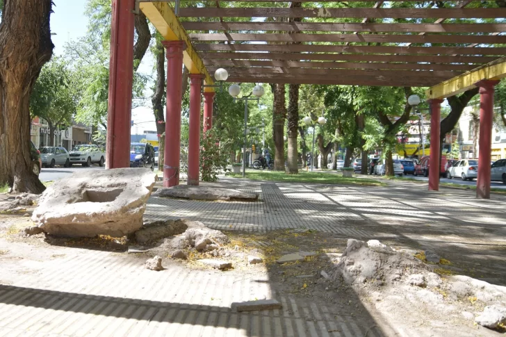 Roturas, basura y sequía en un  bulevar que abarca 10 cuadras