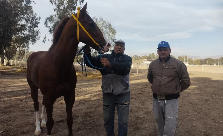 City The Glory será el único en el ‘Laffue’