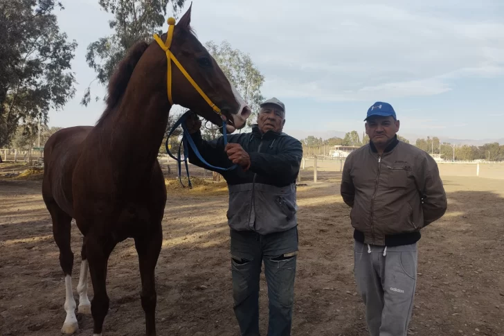 City The Glory será el único en el ‘Laffue’