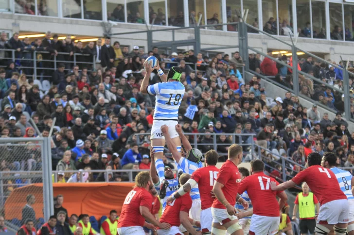 Los Pumas, en casa una semana